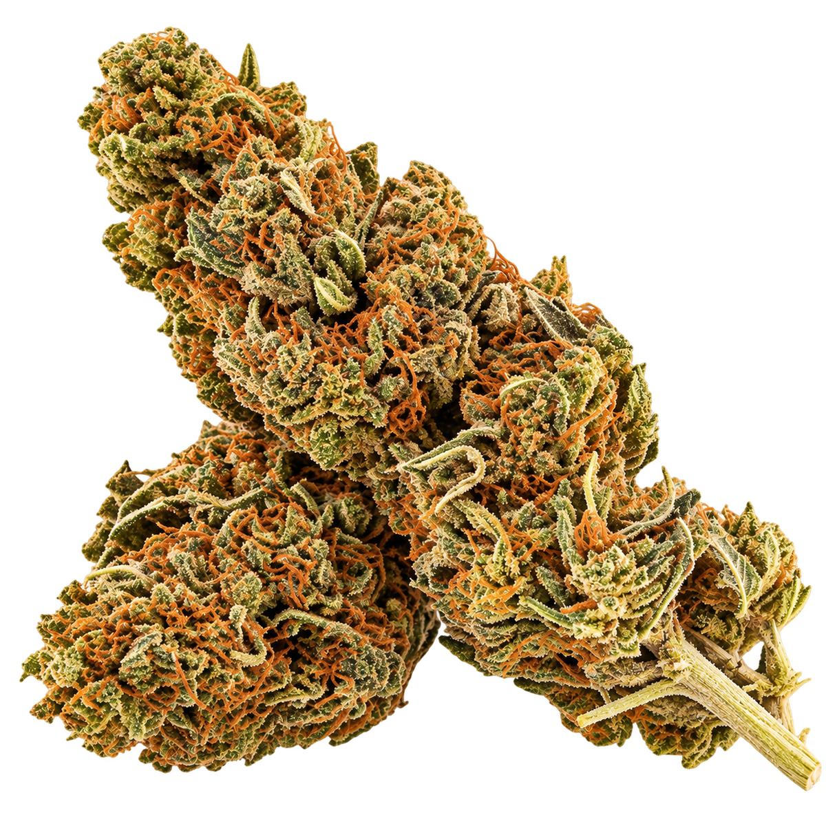 Early Girl - 1 g offert