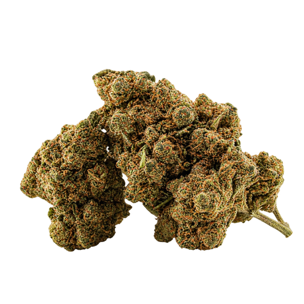Porn Star OG - 1 g offert