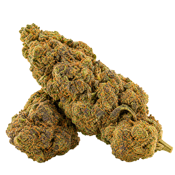 Sour Sherbert - 1 g offert