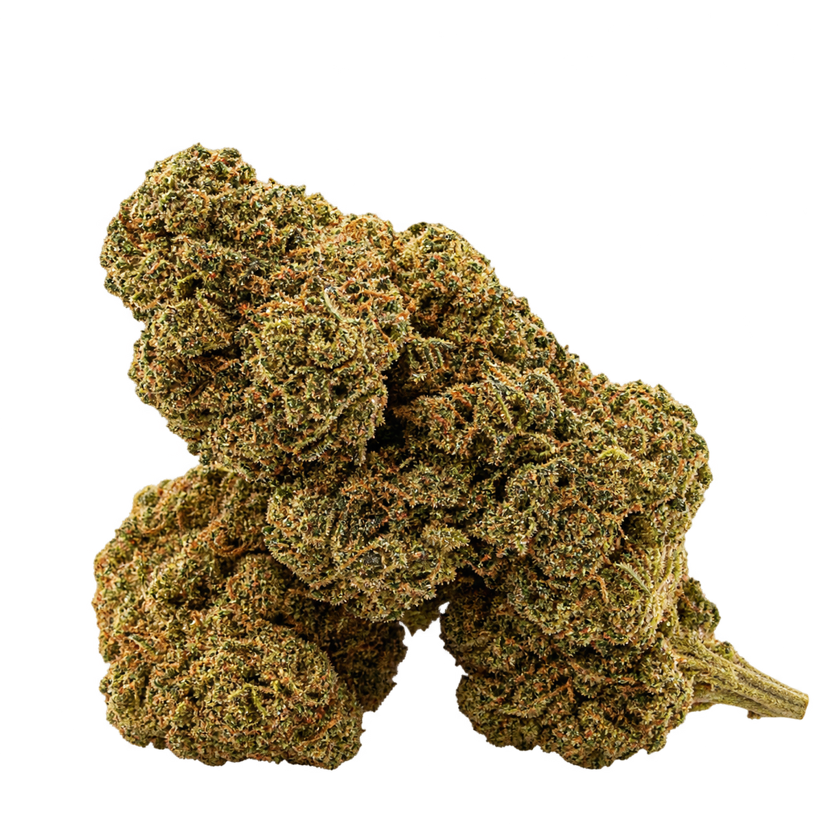 White Widow - 1 g offert